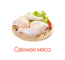 Čerstvé maso_RU